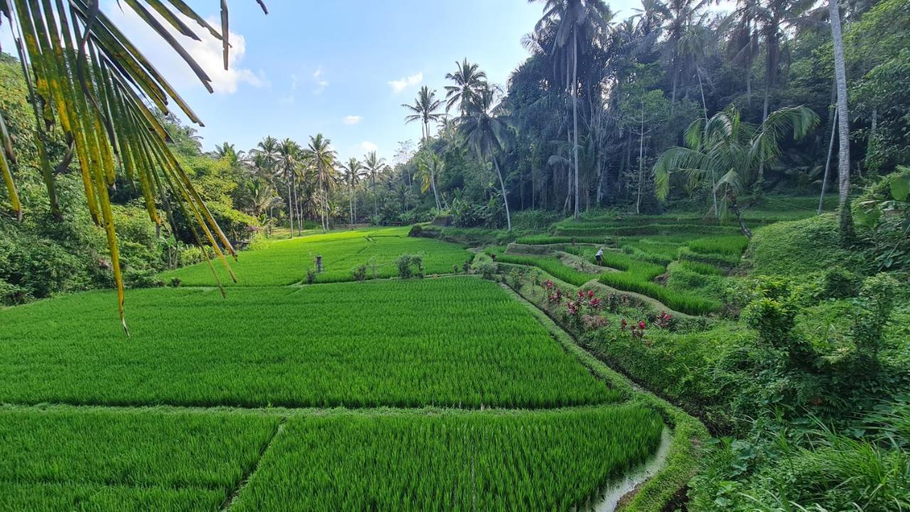 Tirta Sari Villa Tampaksiring Esterno foto