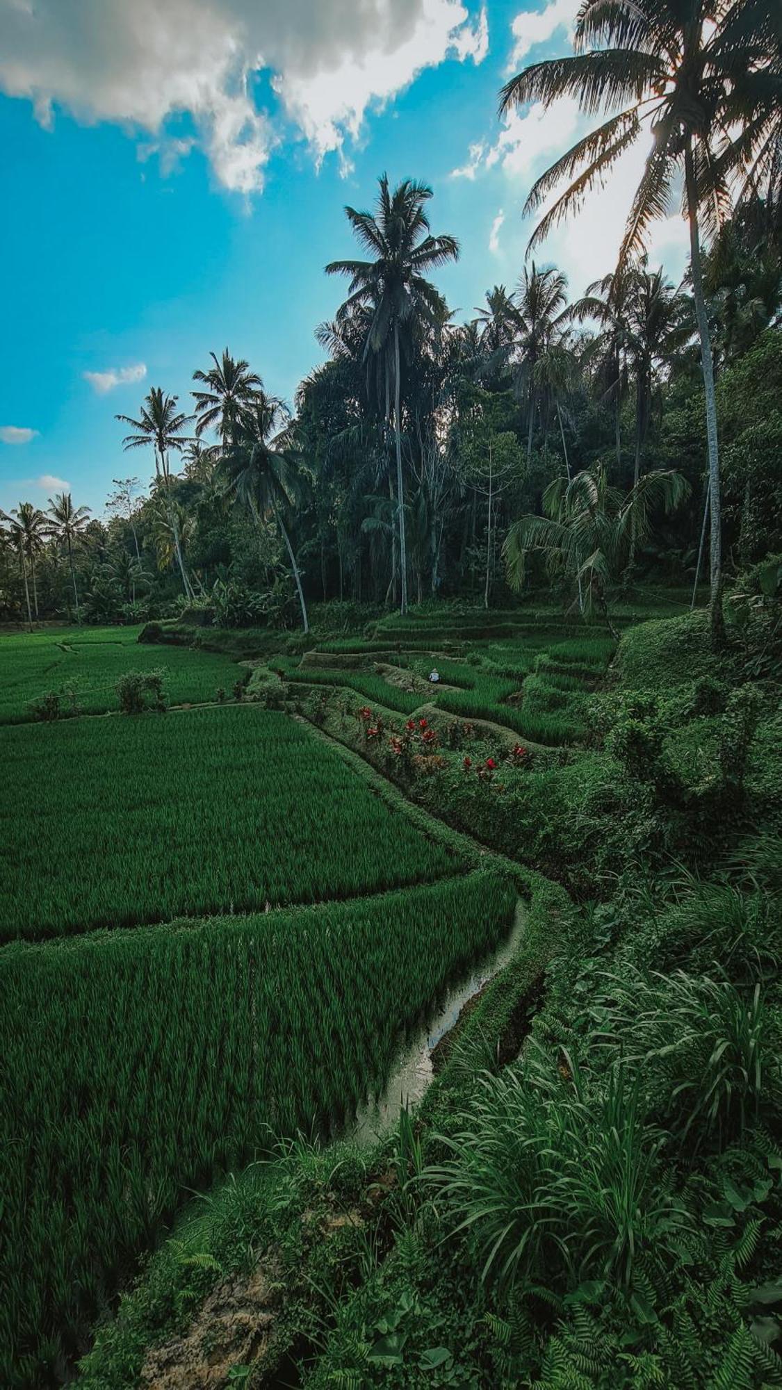 Tirta Sari Villa Tampaksiring Esterno foto