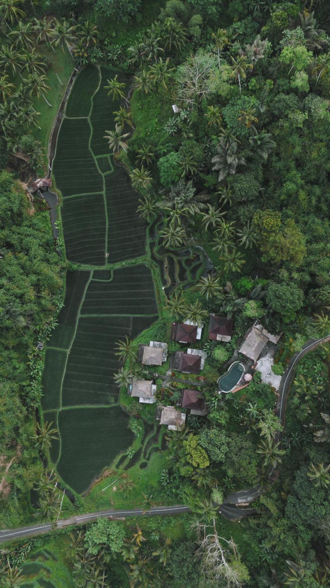 Tirta Sari Villa Tampaksiring Esterno foto